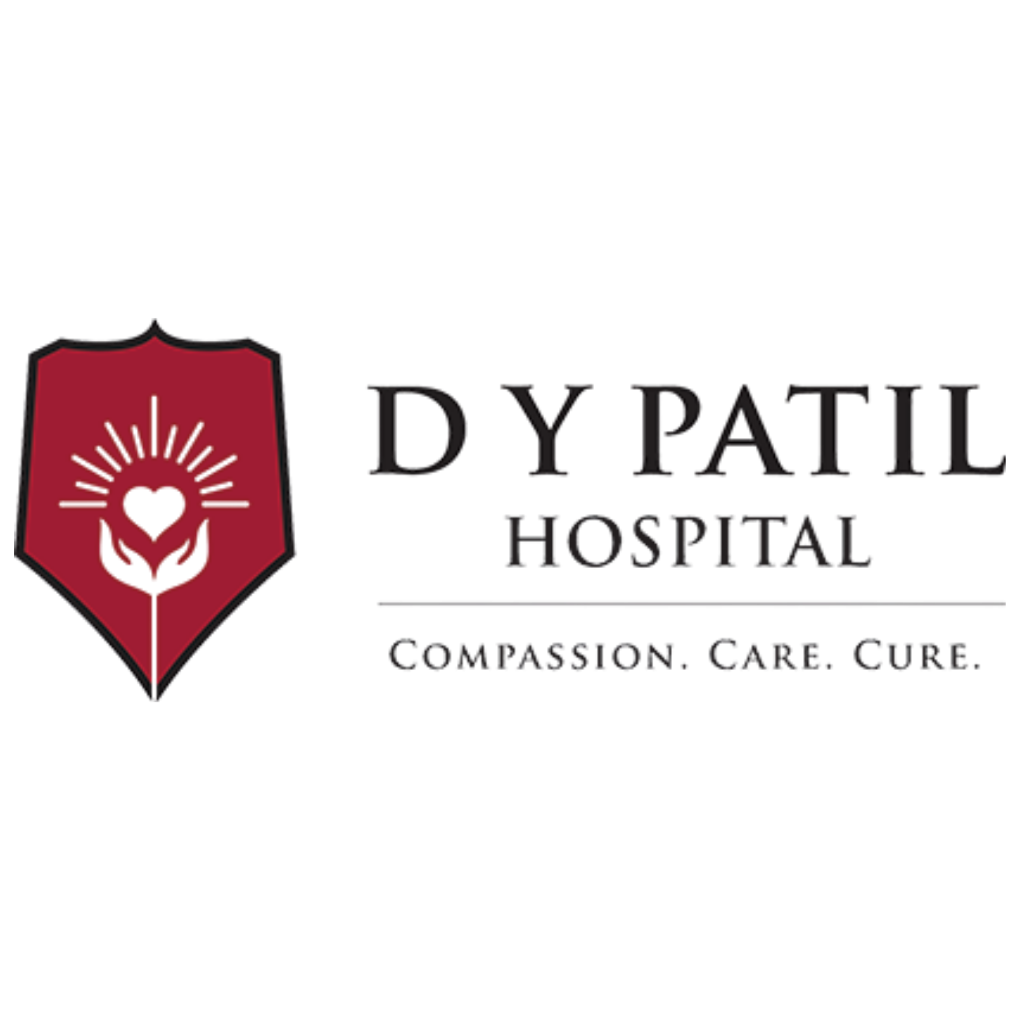 d y patil logo