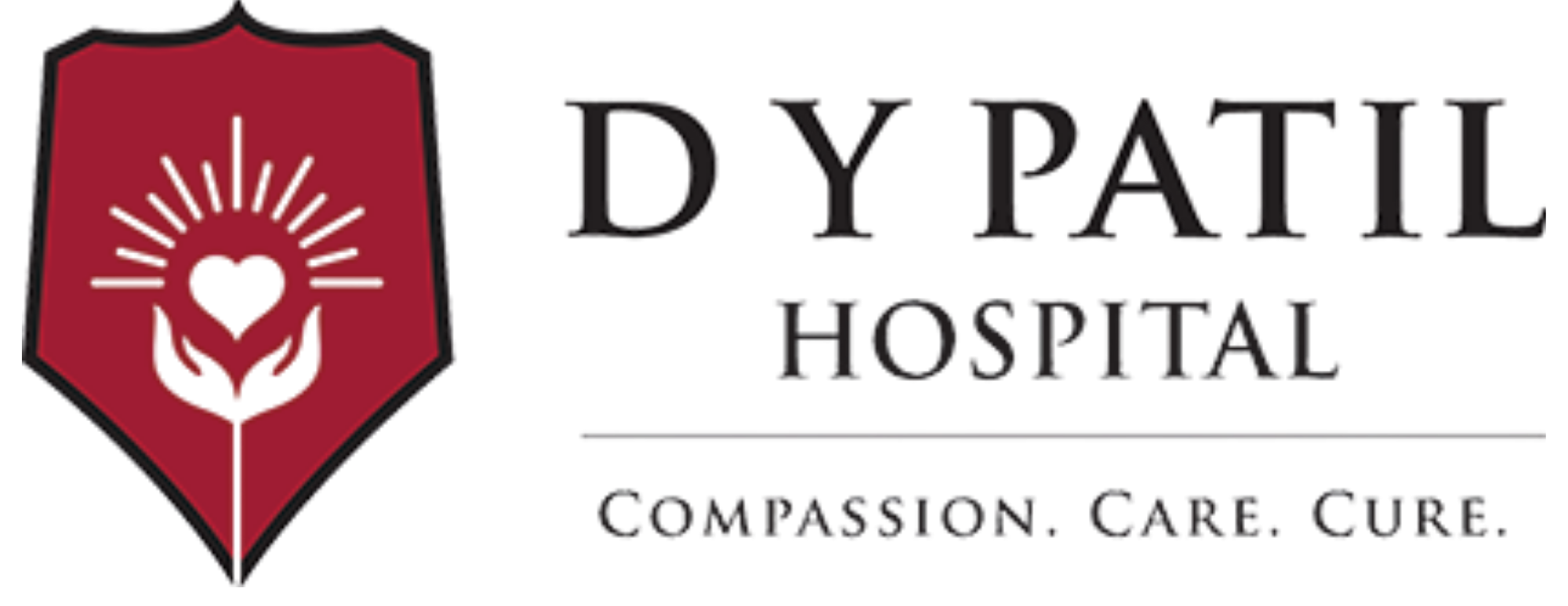 d y patil logo