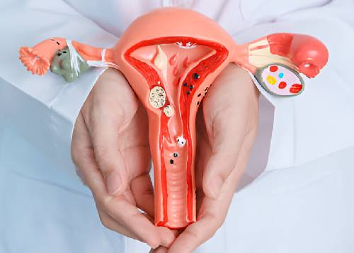 Gynaecologist in Charni Road