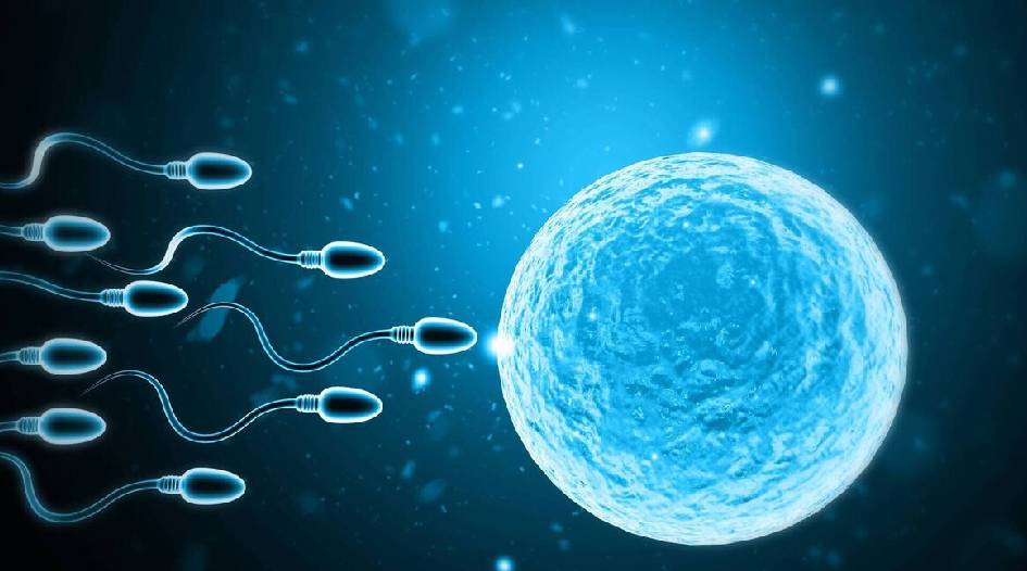 Male Fertility Doctor in Girgaon